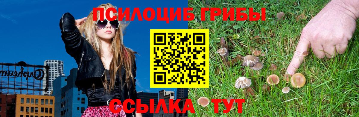где купить наркоту  Вход с VPN  Джанкой  Галлюциногенные грибы Cubensis  Галлюциногенные грибы MAGIC MUSHROOMS 
